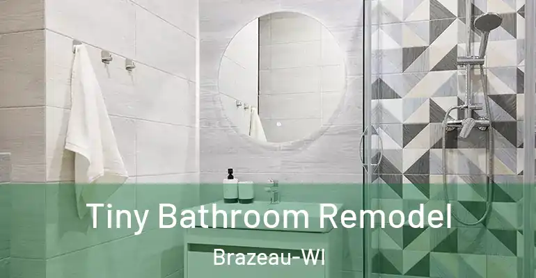 inner Bathroom imggen Tiny Bathroom Remodel Brazeau-WI