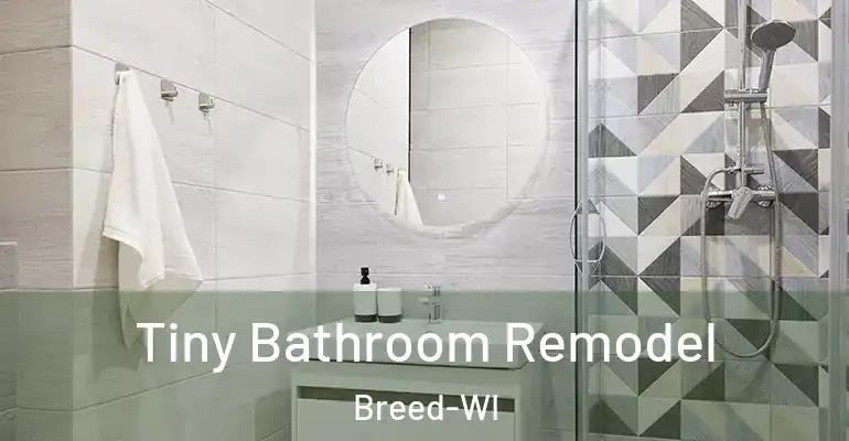 inner Bathroom imggen Tiny Bathroom Remodel Breed-WI