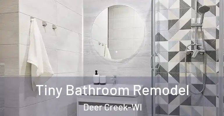 inner Bathroom imggen Tiny Bathroom Remodel Deer Creek-WI