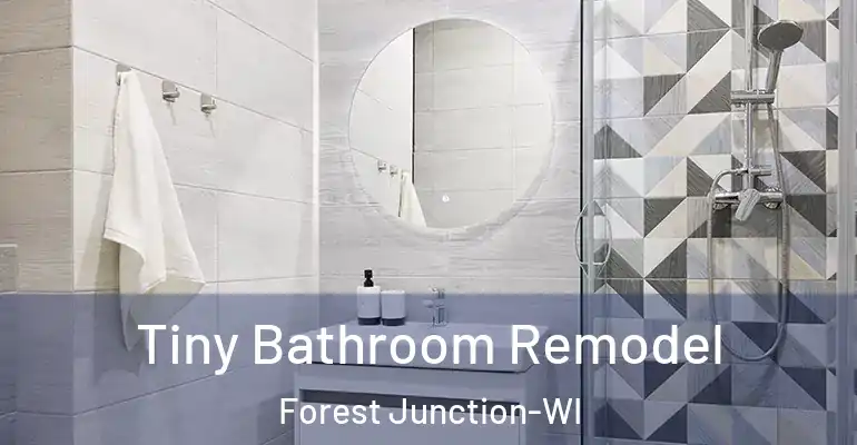 inner Bathroom imggen Tiny Bathroom Remodel Forest Junction-WI