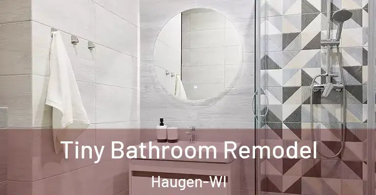 inner Bathroom imggen Tiny Bathroom Remodel Haugen-WI