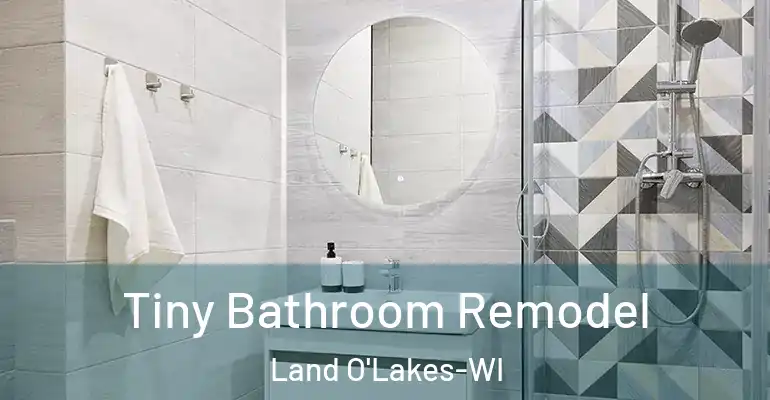 inner Bathroom imggen Tiny Bathroom Remodel Land O'Lakes-WI