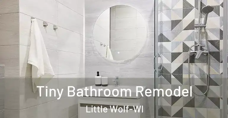 inner Bathroom imggen Tiny Bathroom Remodel Little Wolf-WI