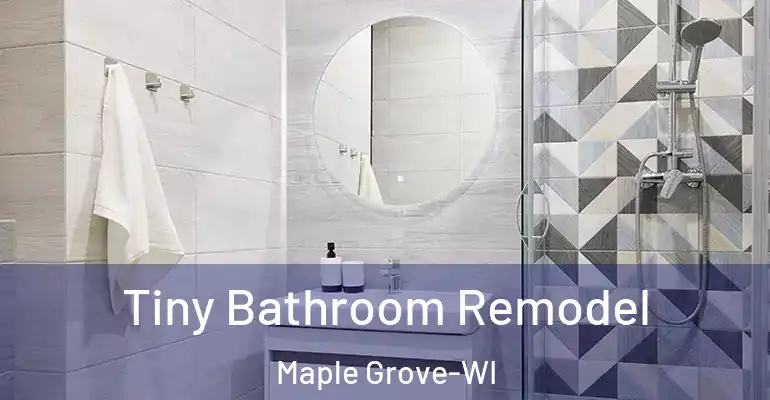 inner Bathroom imggen Tiny Bathroom Remodel Maple Grove-WI