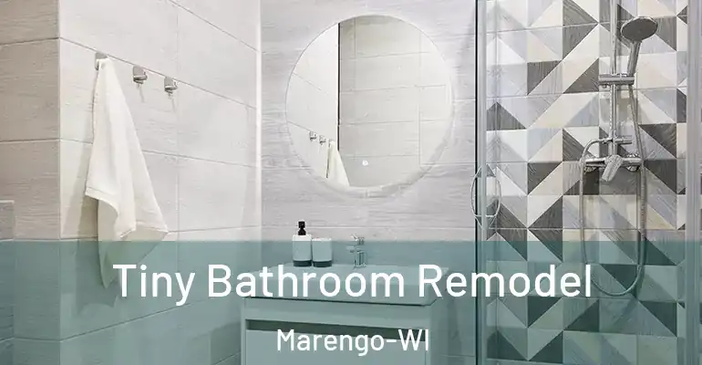 inner Bathroom imggen Tiny Bathroom Remodel Marengo-WI