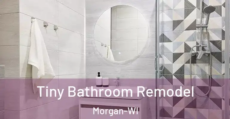 inner Bathroom imggen Tiny Bathroom Remodel Morgan-WI