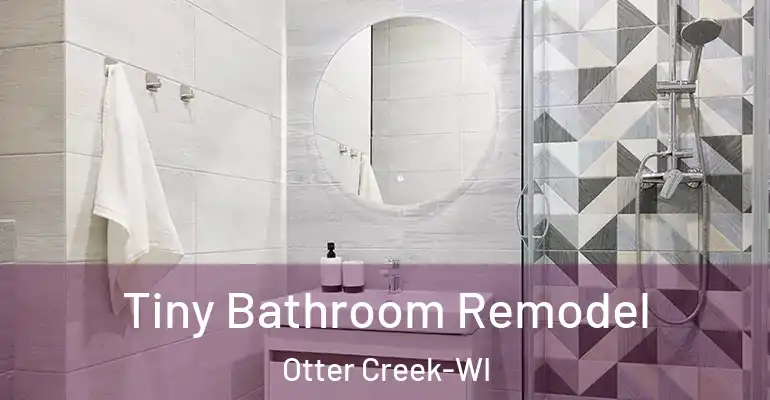 inner Bathroom imggen Tiny Bathroom Remodel Otter Creek-WI
