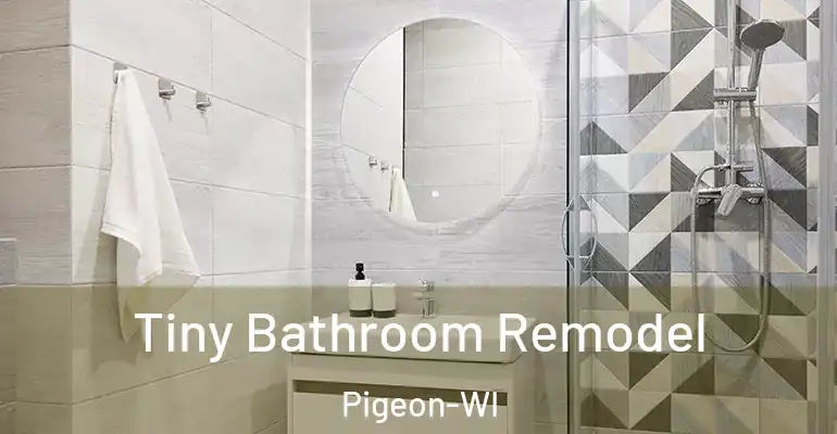 inner Bathroom imggen Tiny Bathroom Remodel Pigeon-WI