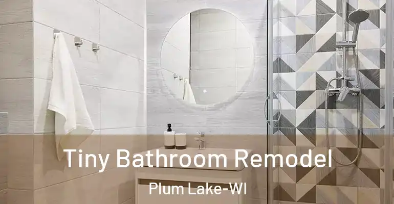 inner Bathroom imggen Tiny Bathroom Remodel Plum Lake-WI