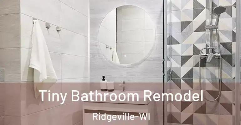 inner Bathroom imggen Tiny Bathroom Remodel Ridgeville-WI