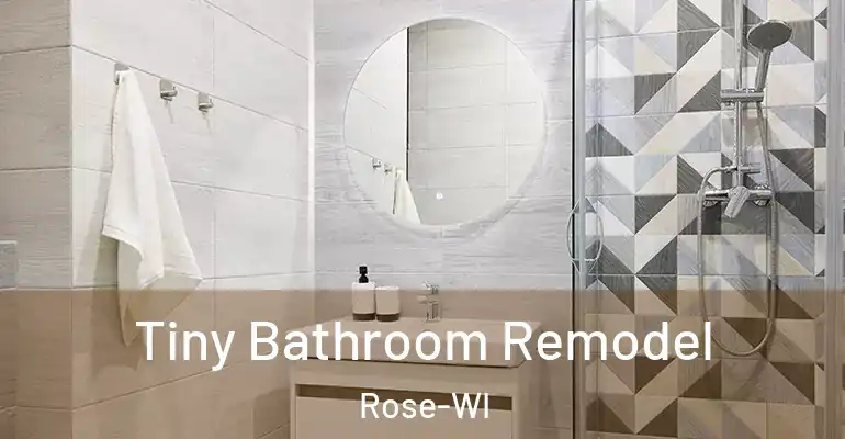 inner Bathroom imggen Tiny Bathroom Remodel Rose-WI