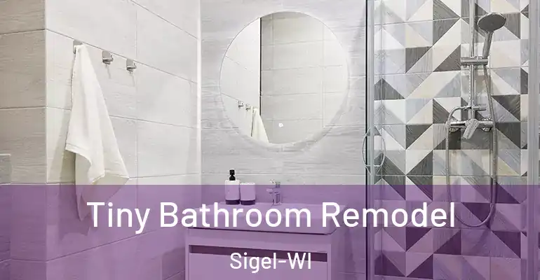 inner Bathroom imggen Tiny Bathroom Remodel Sigel-WI