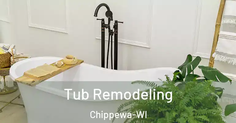 inner Bathroom imggen Tub Remodeling Chippewa-WI