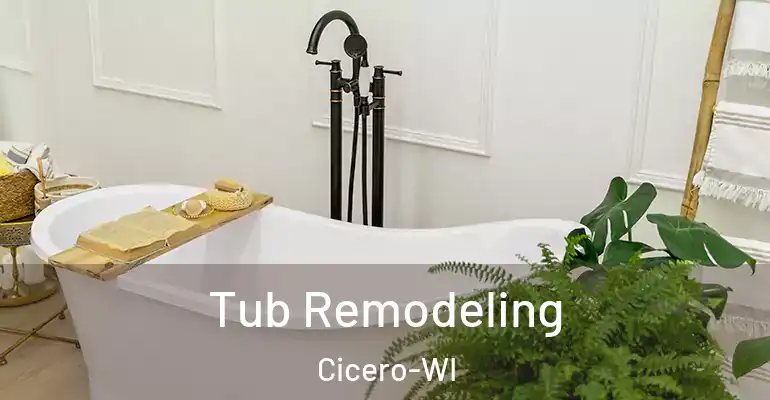 inner Bathroom imggen Tub Remodeling Cicero-WI