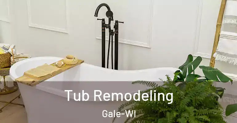 inner Bathroom imggen Tub Remodeling Gale-WI