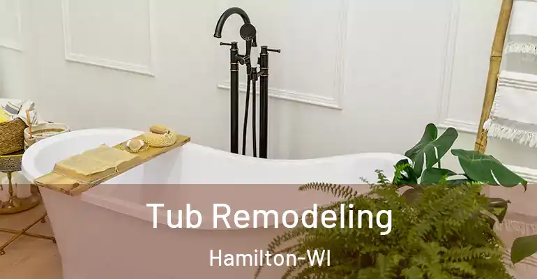 inner Bathroom imggen Tub Remodeling Hamilton-WI