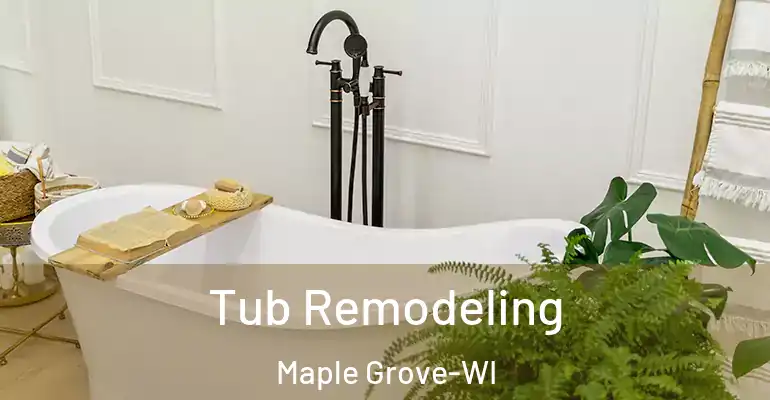 inner Bathroom imggen Tub Remodeling Maple Grove-WI