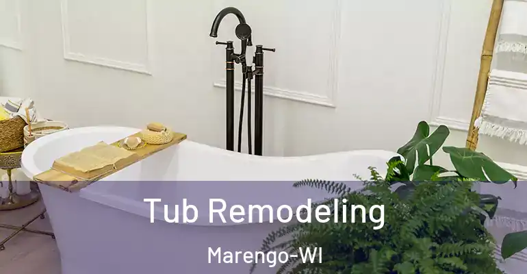 inner Bathroom imggen Tub Remodeling Marengo-WI