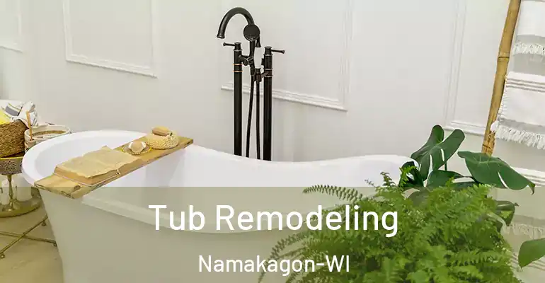 inner Bathroom imggen Tub Remodeling Namakagon-WI