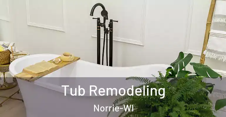 inner Bathroom imggen Tub Remodeling Norrie-WI