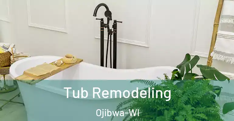 inner Bathroom imggen Tub Remodeling Ojibwa-WI
