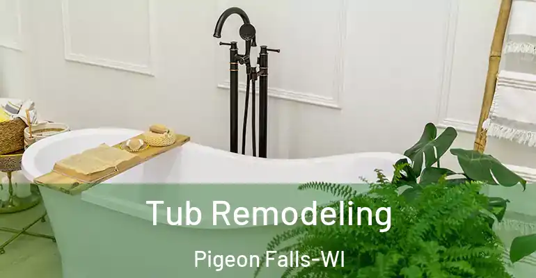 inner Bathroom imggen Tub Remodeling Pigeon Falls-WI