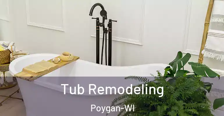 inner Bathroom imggen Tub Remodeling Poygan-WI