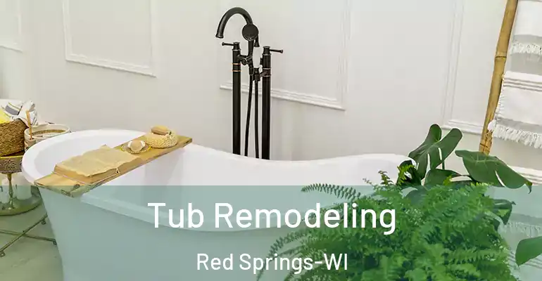 inner Bathroom imggen Tub Remodeling Red Springs-WI