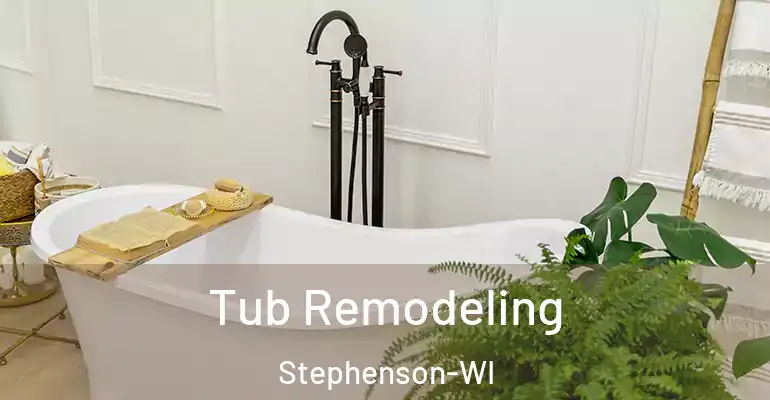 inner Bathroom imggen Tub Remodeling Stephenson-WI