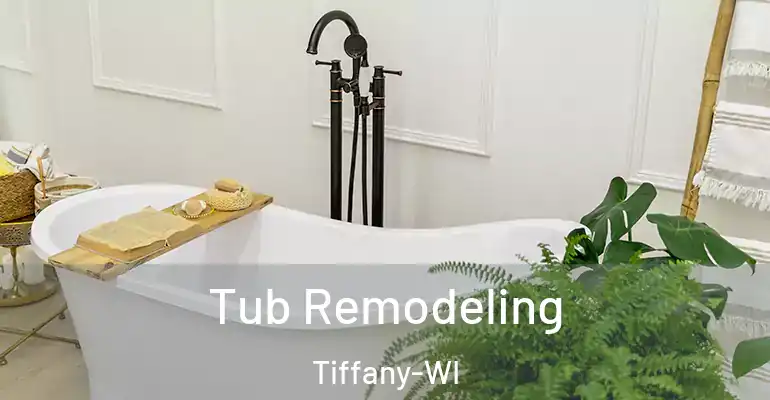 inner Bathroom imggen Tub Remodeling Tiffany-WI