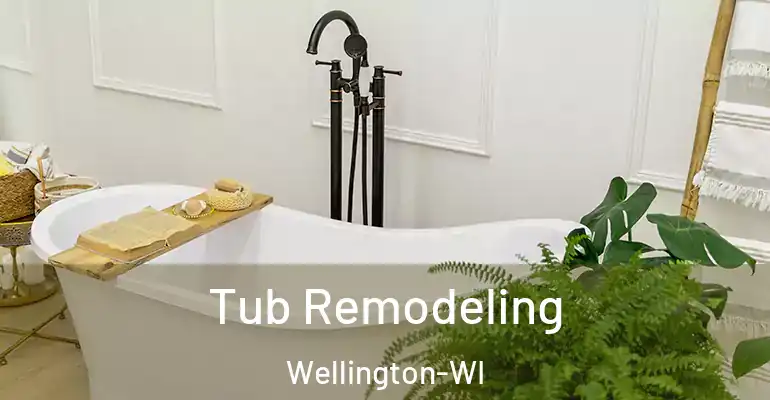 inner Bathroom imggen Tub Remodeling Wellington-WI
