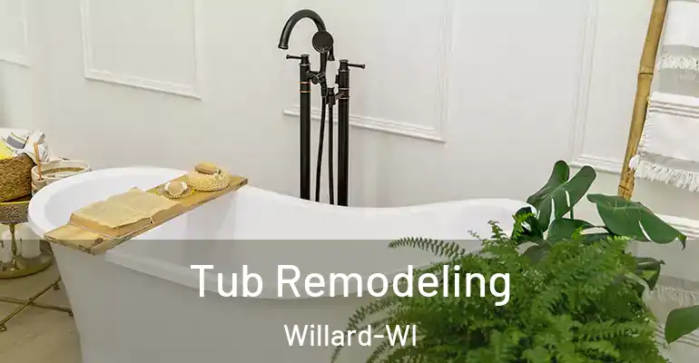 inner Bathroom imggen Tub Remodeling Willard-WI