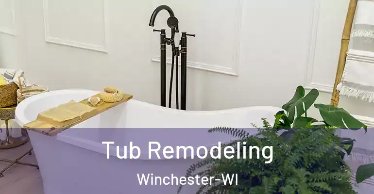 inner Bathroom imggen Tub Remodeling Winchester-WI