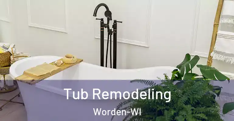 inner Bathroom imggen Tub Remodeling Worden-WI