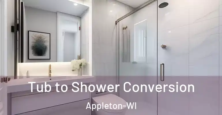 inner Bathroom imggen Tub to Shower Conversion Appleton-WI