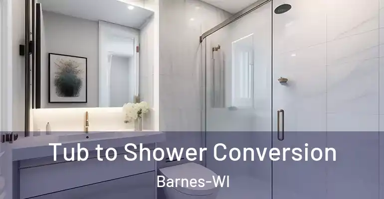 inner Bathroom imggen Tub to Shower Conversion Barnes-WI