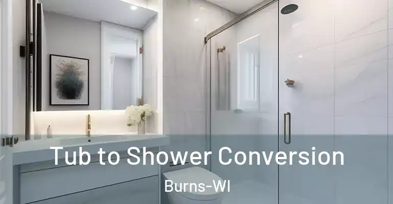 inner Bathroom imggen Tub to Shower Conversion Burns-WI