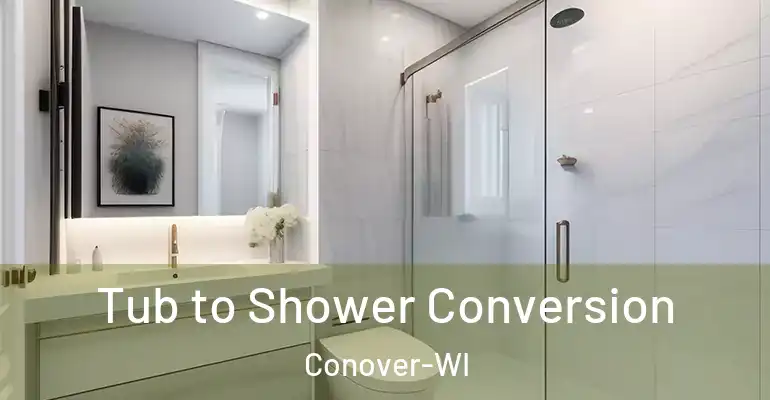 inner Bathroom imggen Tub to Shower Conversion Conover-WI