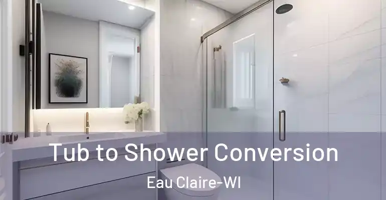 inner Bathroom imggen Tub to Shower Conversion Eau Claire-WI