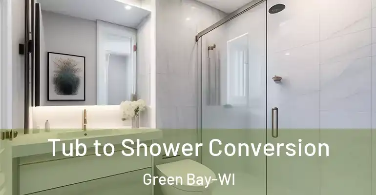 inner Bathroom imggen Tub to Shower Conversion Green Bay-WI