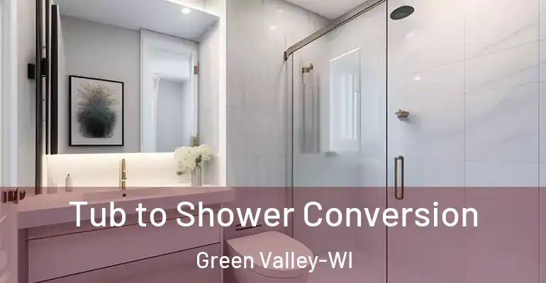 inner Bathroom imggen Tub to Shower Conversion Green Valley-WI