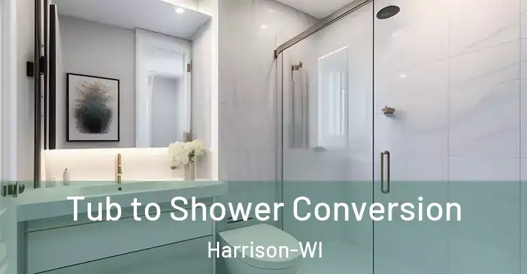 inner Bathroom imggen Tub to Shower Conversion Harrison-WI