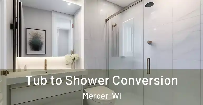 inner Bathroom imggen Tub to Shower Conversion Mercer-WI