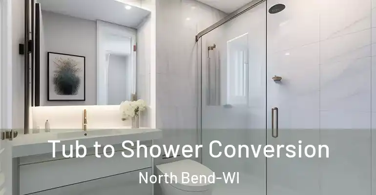 inner Bathroom imggen Tub to Shower Conversion North Bend-WI