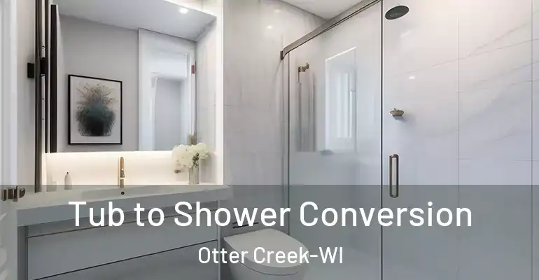 inner Bathroom imggen Tub to Shower Conversion Otter Creek-WI