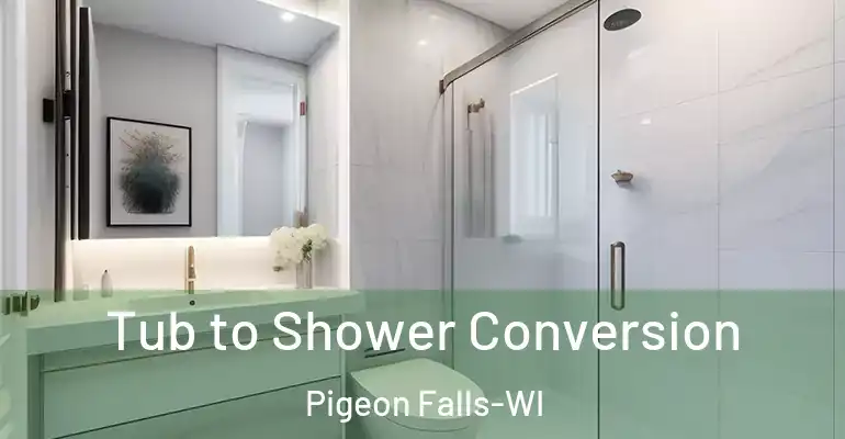 inner Bathroom imggen Tub to Shower Conversion Pigeon Falls-WI