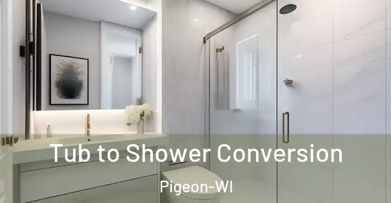 inner Bathroom imggen Tub to Shower Conversion Pigeon-WI