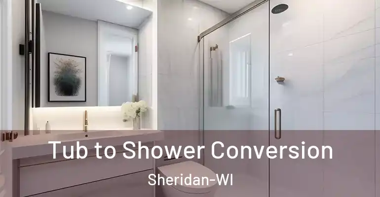 inner Bathroom imggen Tub to Shower Conversion Sheridan-WI