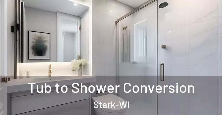 inner Bathroom imggen Tub to Shower Conversion Stark-WI