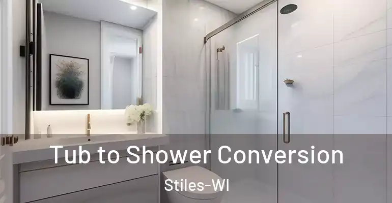 inner Bathroom imggen Tub to Shower Conversion Stiles-WI